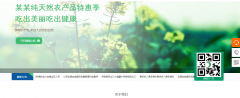 山东防范IP盗用的技术方法