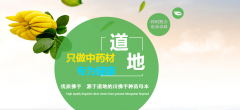 山东网络管理软件的基本分类
